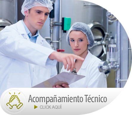 Acompañamiento Técnico