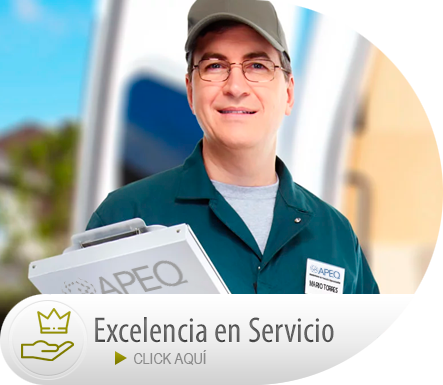 Excelencia En Servicio